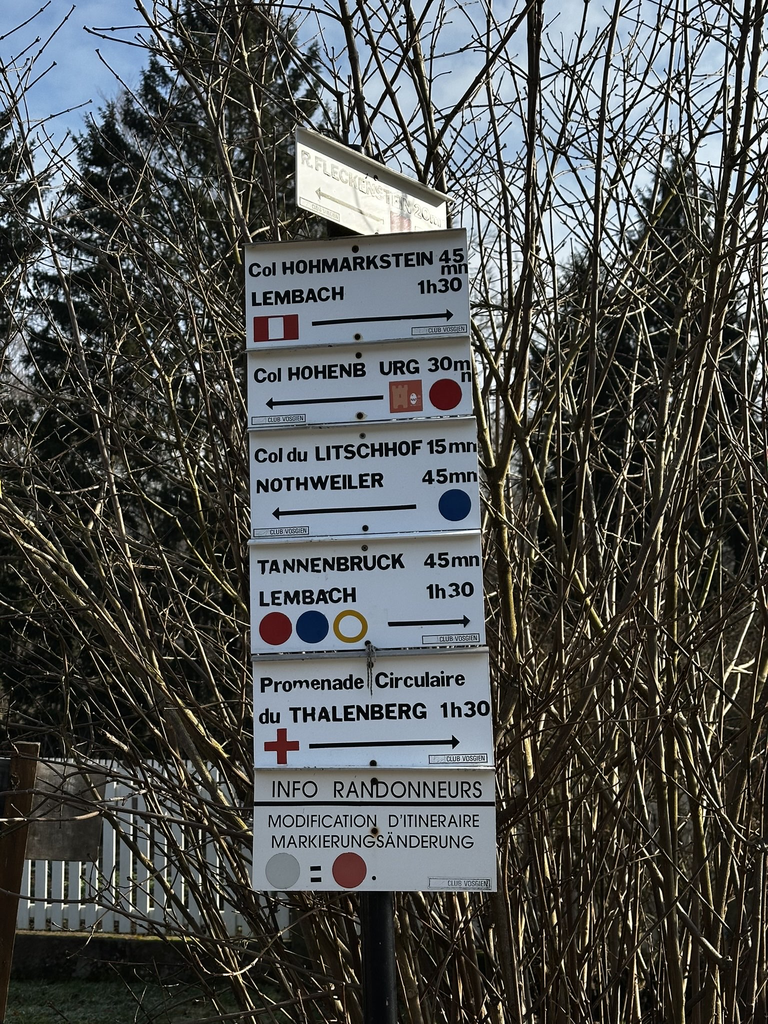 Paysage forêt Vosges du Nord